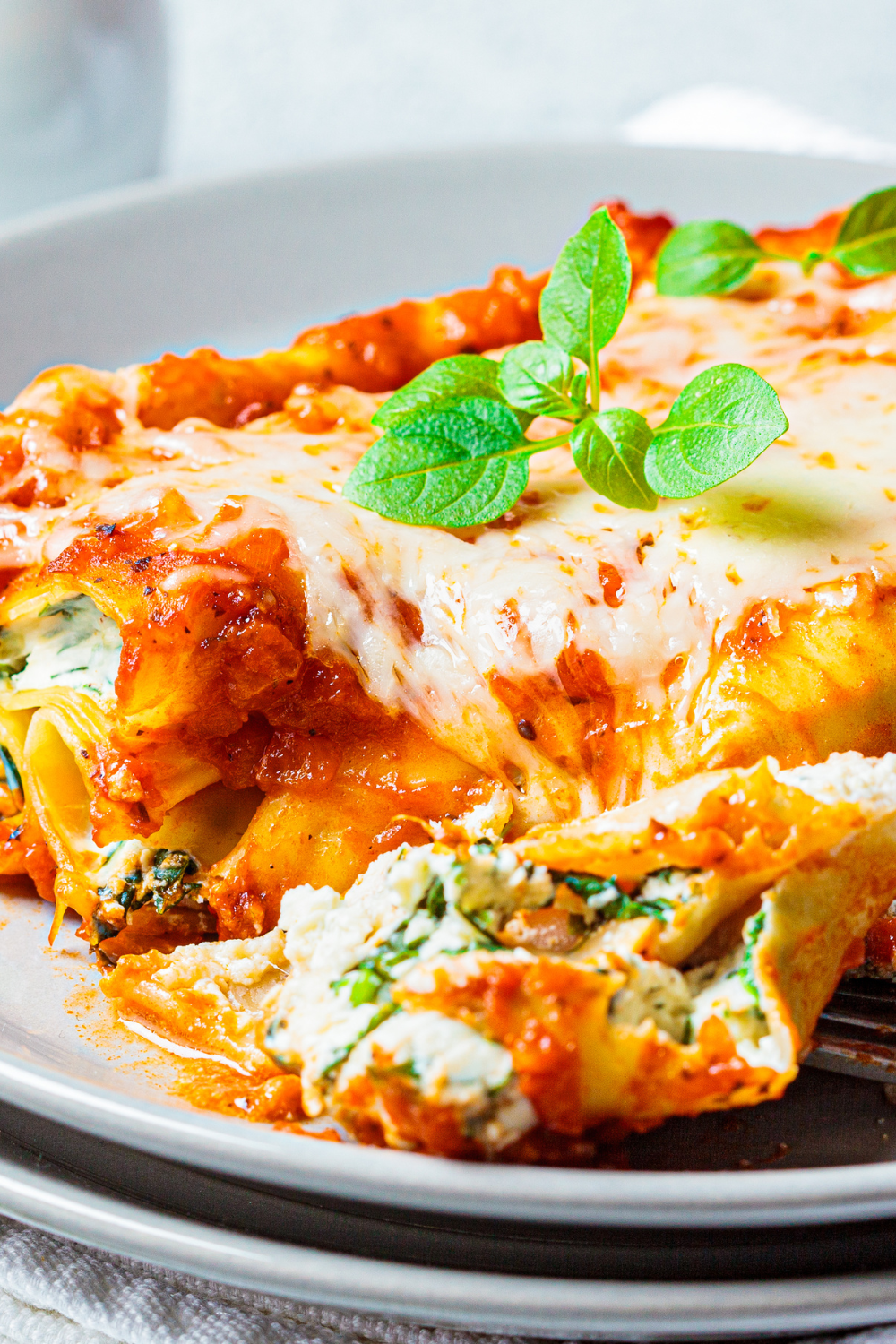 What to Make with Ricotta Cheese: 20 Tasty Ricotta Cheese Recipes