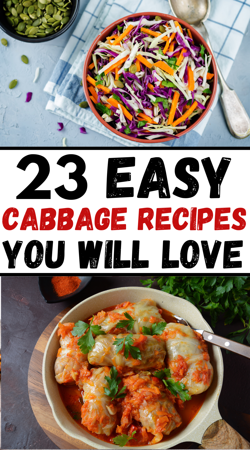 What to Make with Cabbage: 23 Healthy Cabbage Recipes - The Crafty Chefs